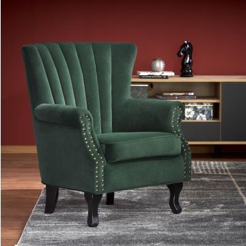 Fauteuil Titan Groen