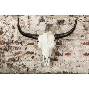 Buffelschedel El Toro Wit Zwart 70cm - 37914