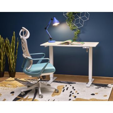 In Hoogte Verstelbaar Bureau Elektrisch Wit 105cm breed B53